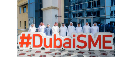 Dubai Entrepreneurship Academy launches ‘Shadow’ initiative to ...